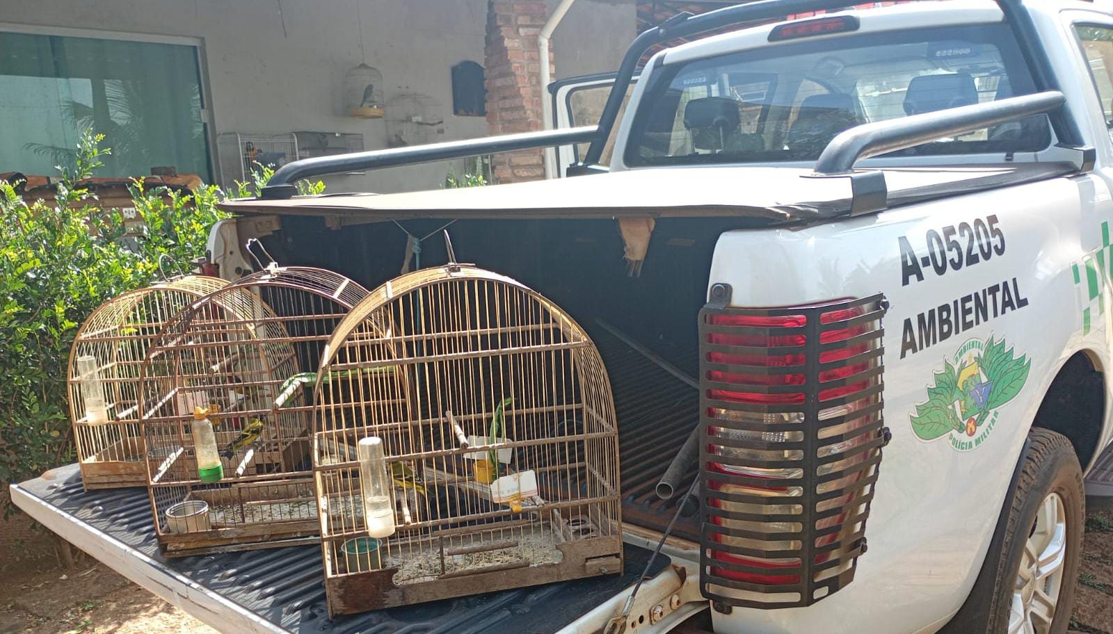 Polícia Militar Ambiental realiza fiscalizações contra cativeiro irregular de aves e aplica mais de R$ 22 mil em multas